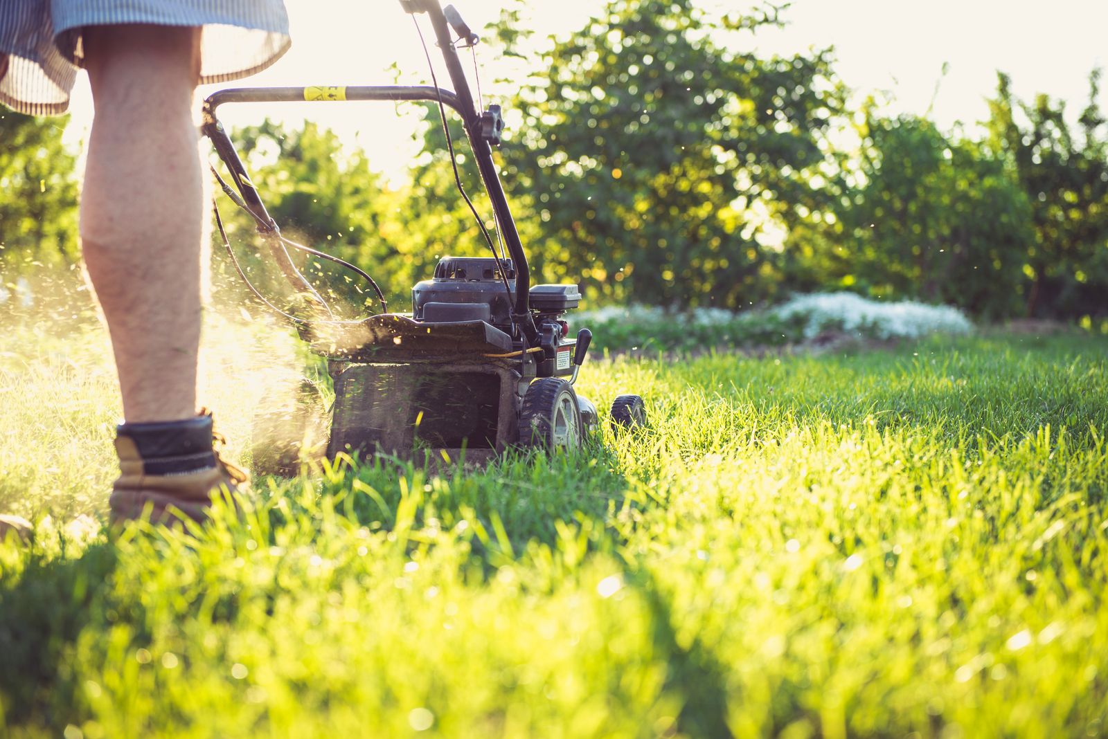 Bickford Property Solutions crew mowing and maintaining a healthy green lawn in central Maine